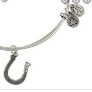 Alex & Ani Silver Lucky Horseshoe Bangle